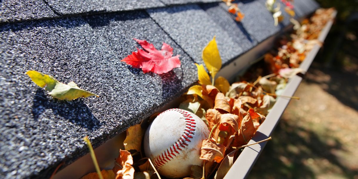 Baseball lodged in a gutter filled with autumn leaves.